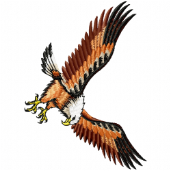 Eagle And Falcon Embroidery Design 10 Eagle And Falcon Embroidery Design 10